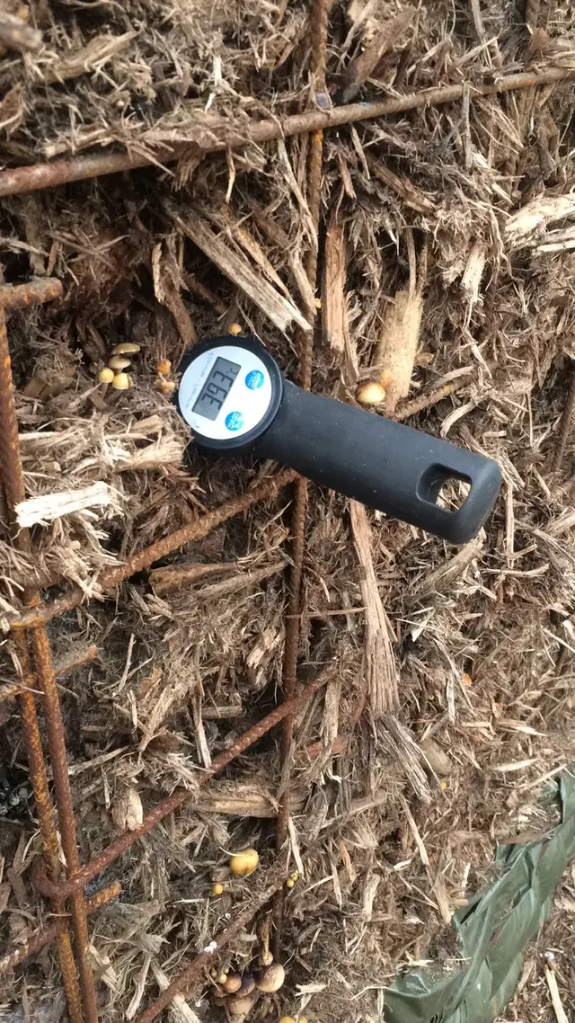 Digitale temperatuurmeter in het compostmateriaal