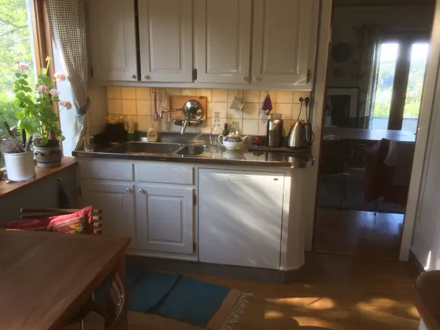 Witte keukenkasten met roestvrijstalen spoelbak