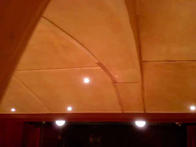 Gewelfd houten plafond met inbouwspots in theaterzaal